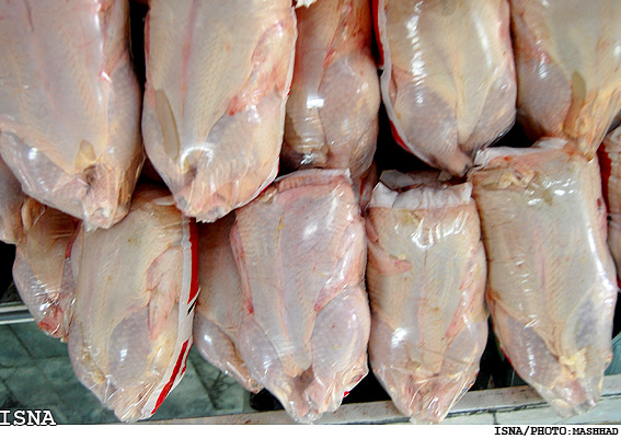 عرضه گوشت مرغ 2450 تومانی