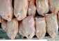 عرضه گوشت مرغ 2450 تومانی