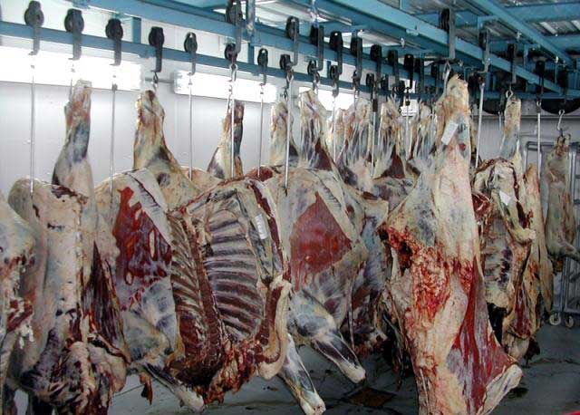 گوشت گاوي درجه يك و بدون چربي 12 هزار تومان، گوشت گاوي مخلوط 7500 تومان