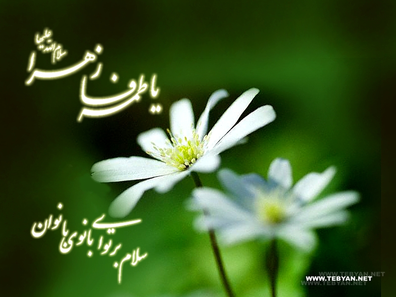 ولادت حضرت فاطمه و روز زن مبارک باد