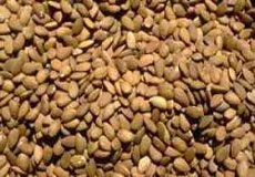 2 رقم بادام اصلاح شده به بهره‌برداران كشور معرفي شد