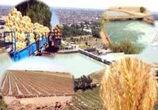 کشاورزی گیلان از نبود سیستمهای مکانیزه به شدت رنج می برند