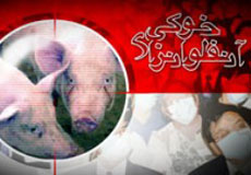 تلفات آنفلوآنزا در انگليس به 254 نفر افزايش يافت