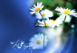 ولادت با سعادت حضرت علی اکبر(ع) و روز جوان مبارک باد