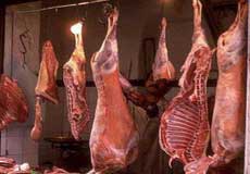 تعدادی از رستورانهای مدینه با گوشتهای فاسد از مشتریان پذیرایی می کنند