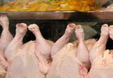 ولیمه حاجی‌ها هم قیمت مرغ را افزایش نخواهد داد