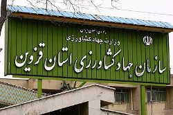 كارگاه آموزشی انتقال یافته های تحقیقاتی طیور در قزوین برگزار شد