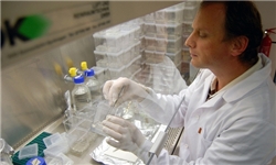 افزایش نگرانی‌ها از آزمایشات مرگبار آنفولانزای مرغی در آمریکا و هلند