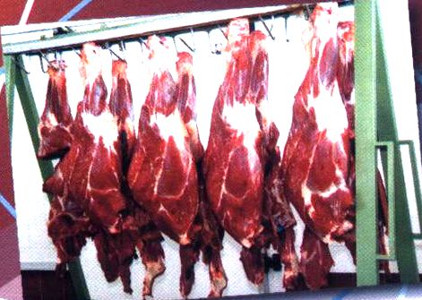 چهار تن فرآورده خام دامی غیربهداشتی در گنبد معدوم شد