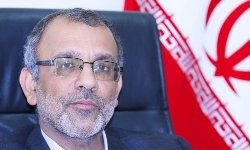 یک ‌میلیون تن گوشت مرغ در بوشهر عرضه می‌شود