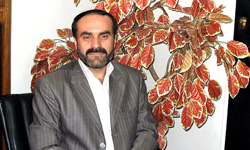 ذخیره‌سازی مرغ آغاز شده است/ گوشت ارزان می‌شود