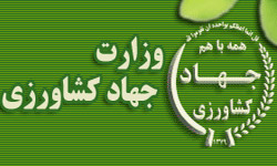 صدور پروانه برای 4 مجتمع پرورش شتر مرغ در بیرجند