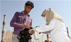 اجرای طرح واکسیناسیون نیوکاسل طیور بومی در روستاهای کردستان
