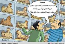 گزارش رادیو چین از "بحران مرغ در ایران"