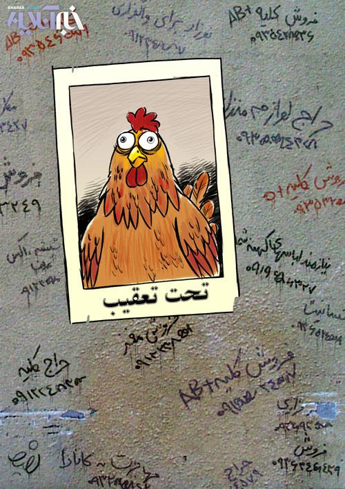 کاریکاتور/ فرار مرغی!