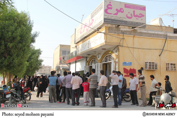 بر تولید و عرضه مرغ نظارت كنيد