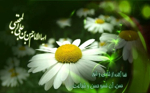 میلاد باسعادت سبط اکبر پور حیدر فرزند زهرای اطهر کریم اهل بیت امام حسن مجتبی علیه السلام مبارک باد