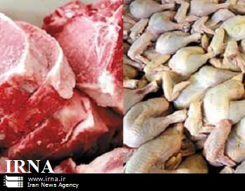 جزئیات عرضه گوشت قرمز تنظیم‌بازاری/ آغاز توزیع مرغ منجمد از امروز