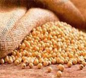 قاره آسیا و کمبود دانه های خوراکی