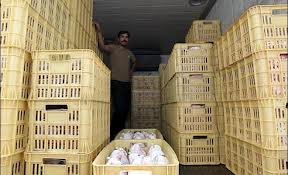 کامیون حامل دو هزار کیلوگرم مرغ مسروقه در مینودشت توقیف شد