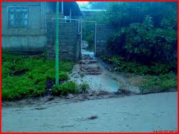 سیل مازندران ۱۴‌هزار مرغ را با خود برد!