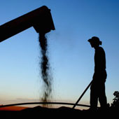 آلمان نیز دچار کمبود نهاده شد!