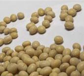 اختصاص 7 هزار میلیارد تومان برای توسعه کشاورزی/ توزیع کنجاله سویا زیر قیمت مصوب