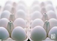 دستور ویژه غضنفری برای ذخیره‌سازی تخم‌مرغ/ قیمت امروز تعیین می‌شود