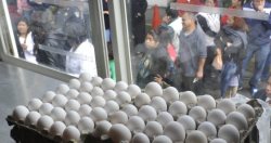 تخم مرغ، مكزیك را بهم ریخت