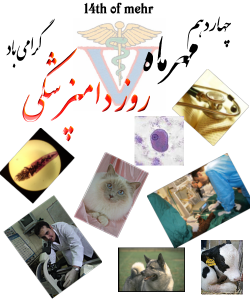 کسی که برای التیام درد انسان ها می کوشد مهربان است و کسی که برای درد حیوانات دل می سوزاند مهربان ترین انسانهاست. روز ملی دامپزشکی گرامی باد