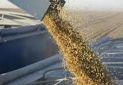 واردات 4.2 ميليون تن نهاده‌هاي دامي و طيور