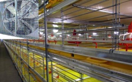 مرغداری روستای تکی تازه آباد تالش ملزم به نصب تجهیزات بوگیر و زباله سوز شد