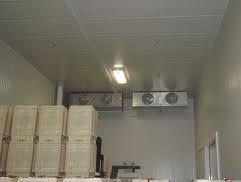 احداث سردخانه طیور در قم لازم و ضروری بود