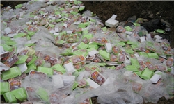 3 تن مرغ منجمد در آبادان منهدم شد / آلودگی میکروبی دلیل اصلی