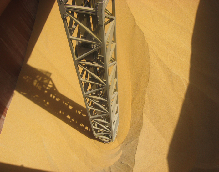 چین تولید خوراک دام و طیور خود را افزایش می دهد