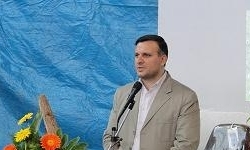 افزایش نهاده‌های دامی دلیل بحران قیمت مرغ