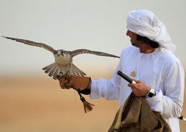 رسوایی شاهزاده سعودی و قاچاق پرندگان