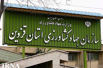 کارگاه آموزشی مدیریت تغذیه و پرورش مرغ گوشتی برگزار شد