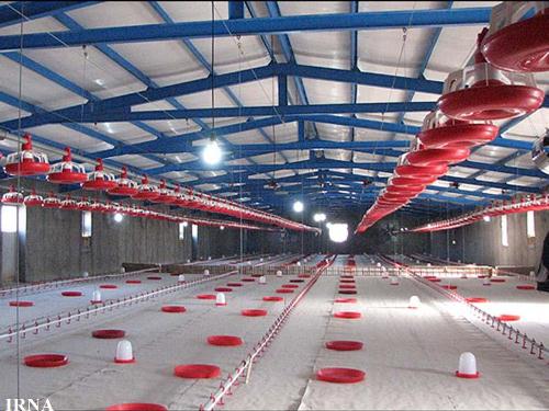 یک واحد مرغداری گوشتی در آستارا به بهره برداری رسید