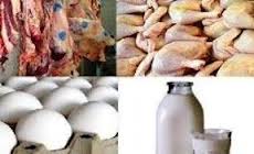 بخش عمده تولیدات زنجان دام و طیور است