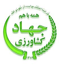 مرغ بیشترین محصول تولیدات دامی زنجان است