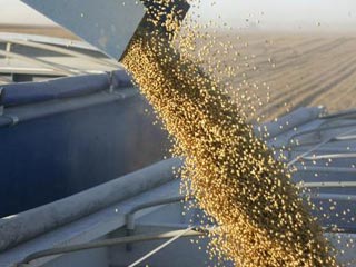 محموله‌های وارداتی سویا به‌زودی وارد بندر امام می‌شوند