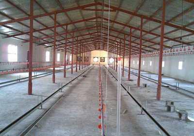 70 درصد واحدهای مرغداری در بجنورد غیرفعال است