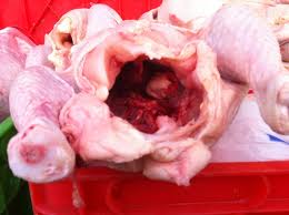 بازرسی و پایش محموله مرغ ورودی به سامانه میدان بهمن