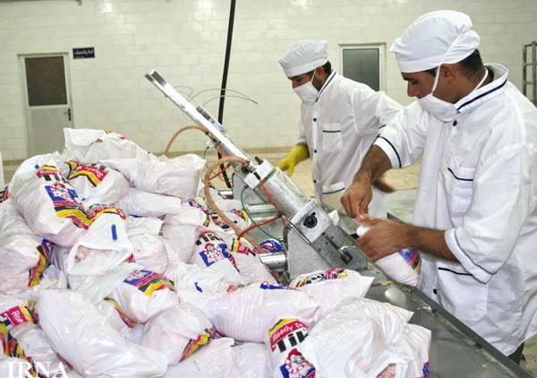 توزیع مرغ با نرخ تعادلی در شهرستان دشتی آغاز شد