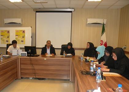 صادرات 3 هزار تن فرآورده تخم مرغ از استان البرز