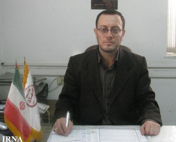 1600 تن مرغ منجمد برای ایام پایانی سال در قم ذخیره شده است