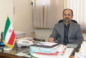 پرورش مرغ "اس پی اف" از سال آینده در کشور آغاز می شود