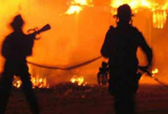 هشت هزار قطعه جوجه در آتش سوزی مرغداری تلف شدند