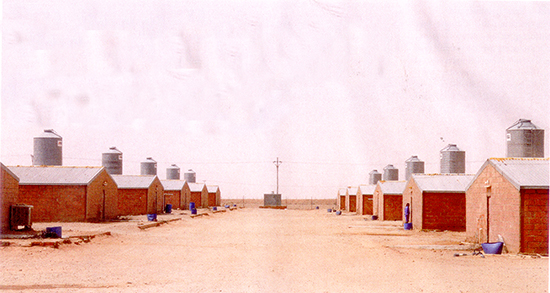 مرغداری در بیابانهای سوزان عربستان